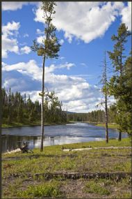 Yellowstone river